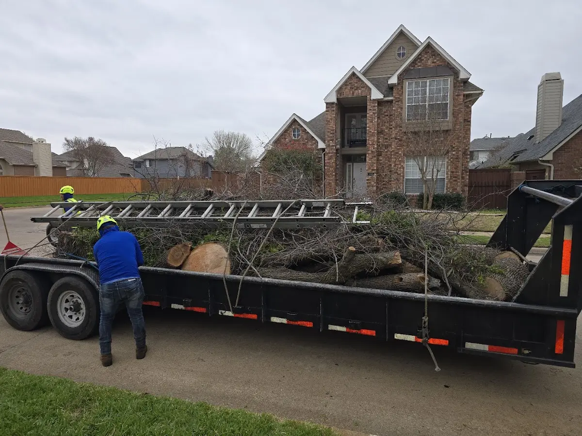Expert Tree Fertilization with proper safety equipment in Wise